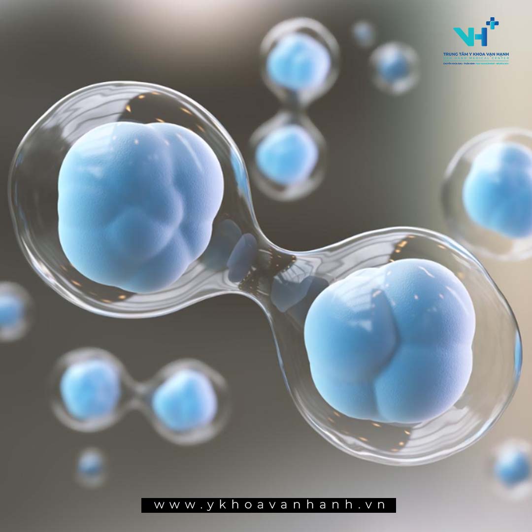 Liệu pháp tế bào gốc: Đột phá trong chống lão hóa